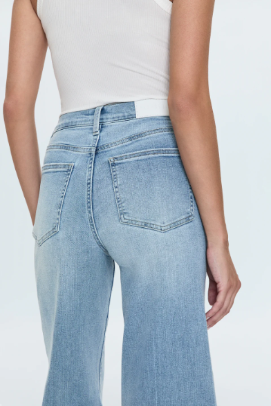 Izzy Mid Rise Wide Jean