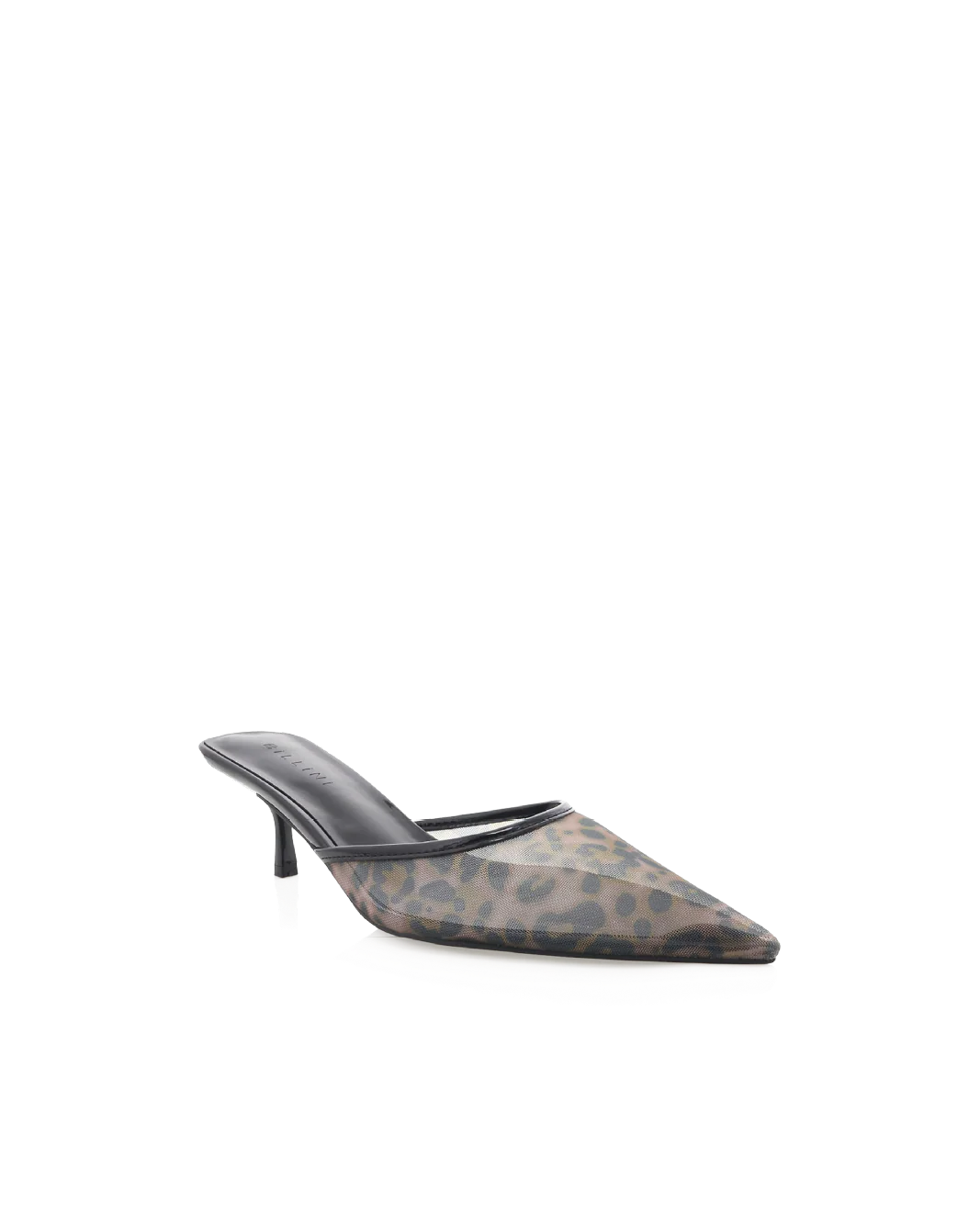 Winton Heel
