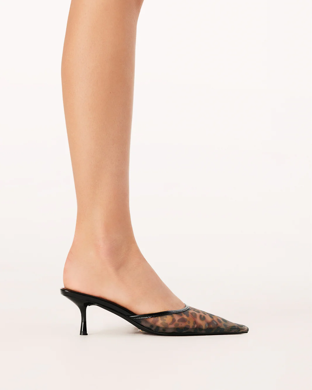 Winton Heel