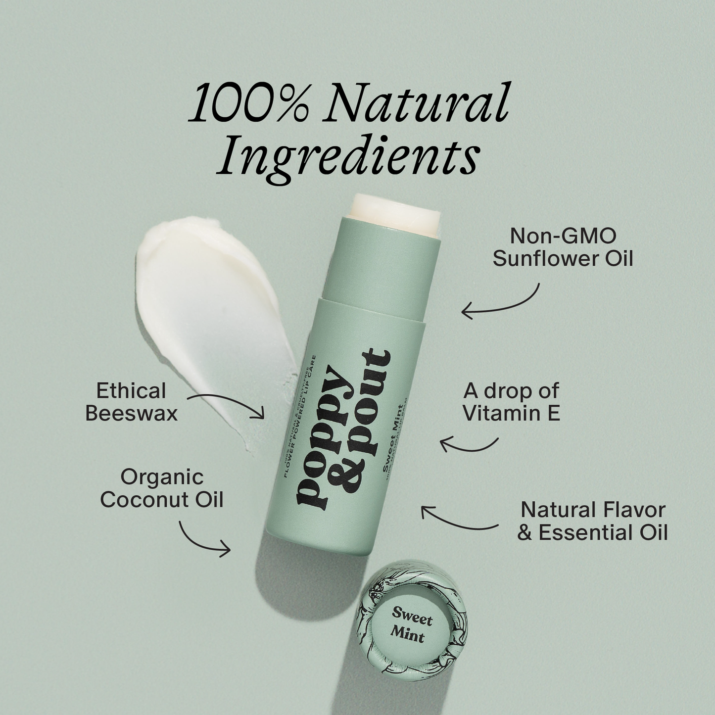Sweet Mint Lip Care Duo