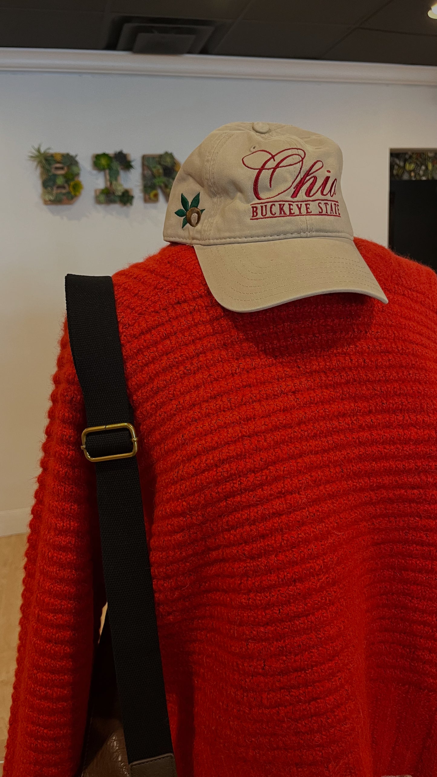 Buckeye Ball Cap