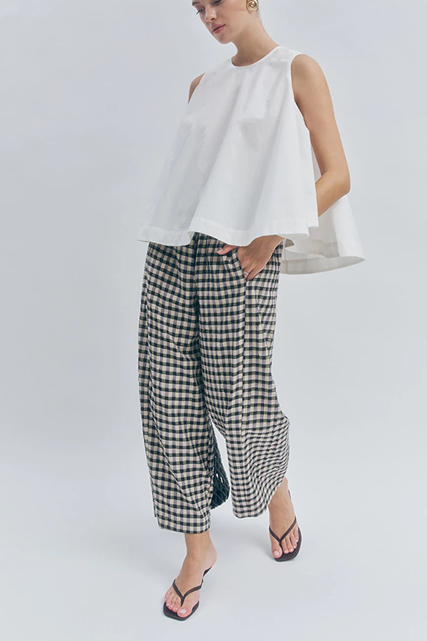 Ari Pant