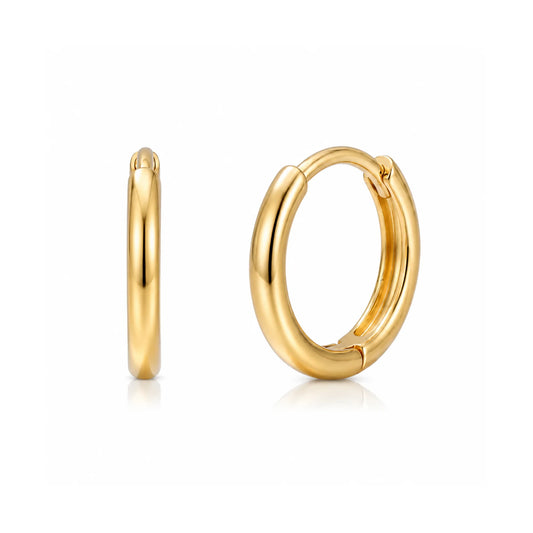 Erin Mini Hooop Earring