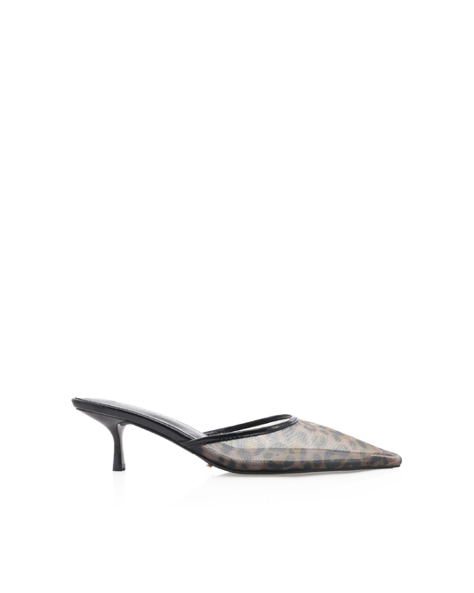 Winton Heel